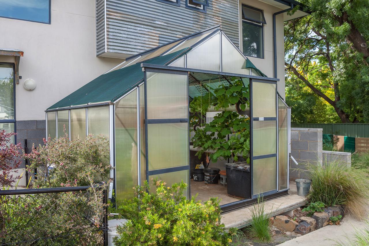 One Of A Kind Apartments Canberra Esterno foto